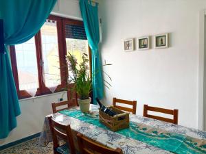 all ombra dei pini img19