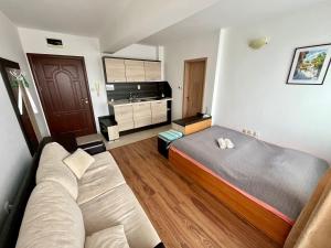 Summer Breeze 515 Studio NO ROMANIA