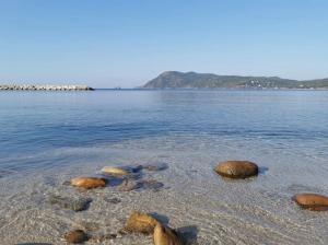 Studio Emeraude Proche Plage Clim Balcon Dernier Etage Parking - Saint Mandrier Sur Mer - Pin Rolland