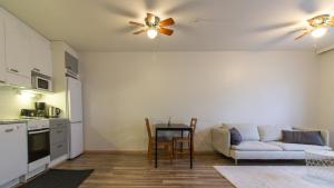 Spacious Apartment for 3