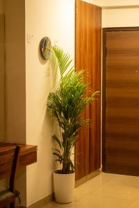 Cloudberry Studio by Raaya Nook