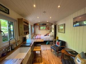 Shepherd’s delight