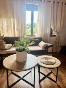 Zere House