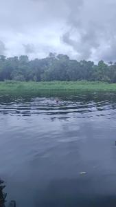 Chácara Itanhaém Frente ao Rio