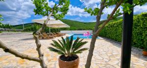 Villa Ana with a private pool on a 3000m2 property
