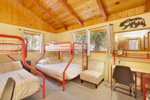 Sunny bear cabin #1970