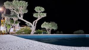 Casa Júlia - Monte das Sorraias