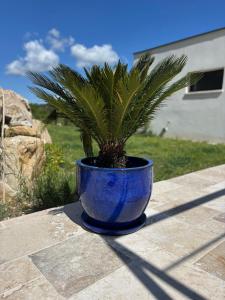 B&B / Chambres d'hotes Noyau & Pepin : photos des chambres