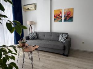 Cozy Downtown Apartment