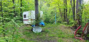 Campings Camping le P'Tit Bonheur : Caravane 