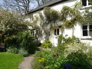 Tracebridge Cottage B&B - Chipstable