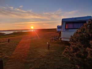 Marių Kranto Kemperis