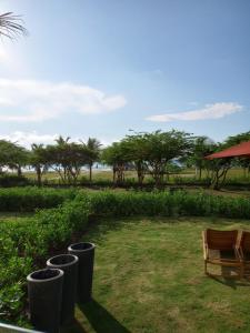 apartment with exit to the sea and mangrove