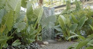 Domo Nosara Boutique Hotel