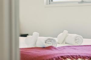 Tulip - The Urban Elegance