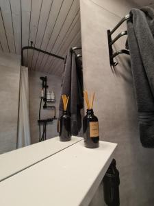 Unique houseboat experience in central Gothenburg