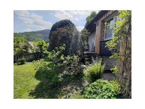 Holiday home in Harz with 2 bedrooms