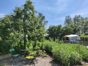 Holiday Home in Friesland with Greenhouse Charm
