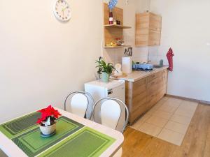 Apartment in Mi dzyzdroje near the Beach