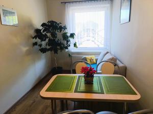 Apartment in Mi dzyzdroje near the Beach