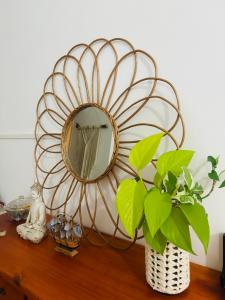 VGC hospedaje tranquilo a 5 min del aeropuerto pet friendly