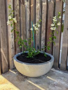 Océane Beach House Marion Bay South Australia