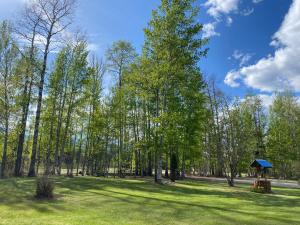 Cougar Mountain Lodge and Resort Cabin Rentals