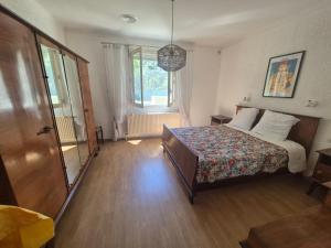 Villa climatisée avec grand jardin, animaux admis - FR-1-776-138