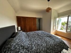 Villas Maison Renovee avec Jardin et WIFI a La Roche-Posay - FR-1-541-173 : photos des chambres