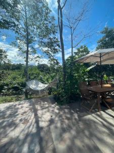 Amazon Paradise WiFi Starlink Work or Relax