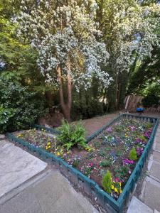 Sasha-Home 538 Brookmere Ave