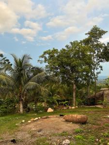 Tarapoto Relax or Work Nomad Wifi Starlink