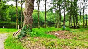 Appartements Le Gite & Chips - Ideal PROS : photos des chambres