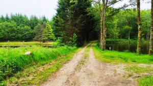 Appartements Le Gite & Chips - Ideal PROS : photos des chambres