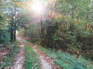 Appartements Le Gite & Chips - Ideal PROS : photos des chambres