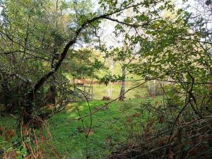 Appartements Le Gite & Chips - Ideal PROS : photos des chambres