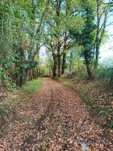 Appartements Le Gite & Chips - Ideal PROS : Maison de Ville 3 Chambres