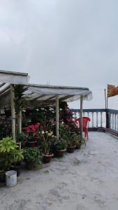 Hotel Sakura Mountain View 10 mins from Mall Road
