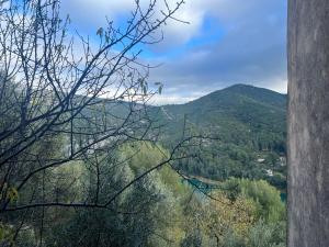 Appartements Studio provencal avec terrasse et vue : photos des chambres