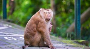 B2 Phuket Boutique & Budget Hotel