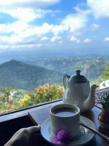 Blackberry Hills Munnar Nature Resort & Spa