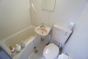 Apartment House Sanyo Green Heights 305