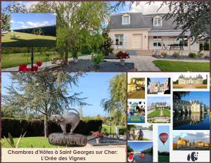 B&B / Chambres d'hotes L-Oree des Vignes 41 - proche Chenonceau et Zoo de Beauval : photos des chambres