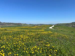 Il Palazzo dei Diavoli