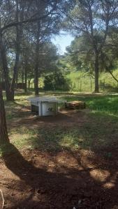 Chalet familial entre les pins