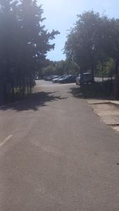 Chalet familial entre les pins