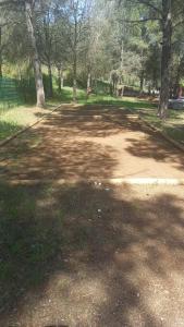 Chalet familial entre les pins