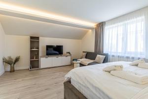 COZY Luxury Collection - Premium Studios Brasov