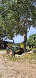 Grande Chambre tout confort 4