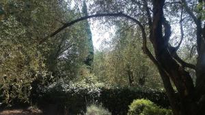 Villas Beautiful private villa with open views : photos des chambres